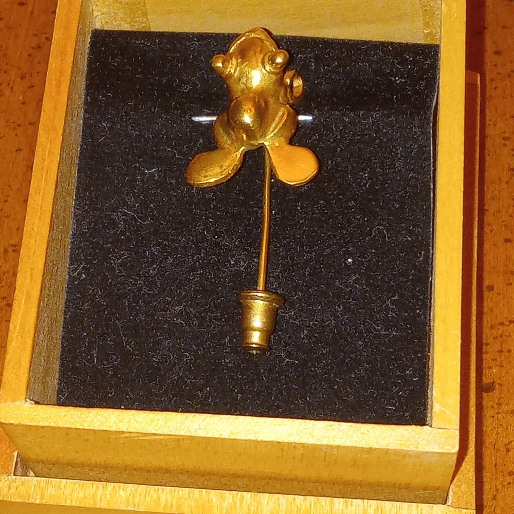 Frog Pin - Picture 13 of 14